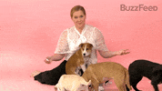 Amy Schumer Motivation GIF by BuzzFeed