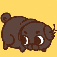 Look Around What GIF by Puglie Pug