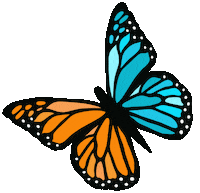 Neon Butterfly Sticker