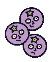 Apple Fruit Sticker