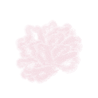 Pink Flower Sticker by Orosa Beauty