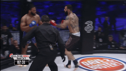 GIF by Bellator