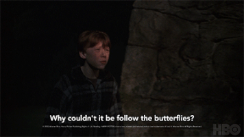 harry potter GIF by HBO