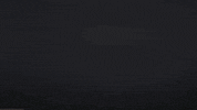 Napa Valley GIF by Hertelendy Vineyards