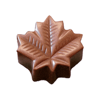 Maple Leafs Chocolate Sticker by Vermont Nut Free Chocolates