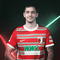 Bundesliga David GIF by FC Augsburg 1907