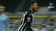Premier League Football GIF by MolaTV