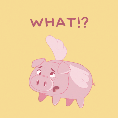 Excuse Me What GIF by PositivelyPigasus