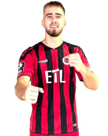 Cologne Yes Sticker by FC Viktoria Köln 1904