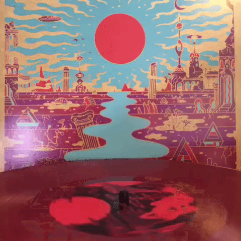 GIF by Sub Pop Records