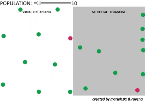 jiavern giphygifmaker GIF