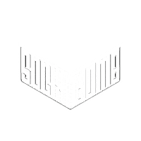 World Champ Logo Sticker by Dynamic Discs