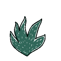Vera Aloe Sticker