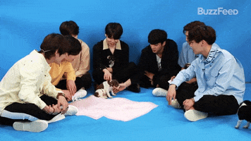 Fake Love GIF by BuzzFeed