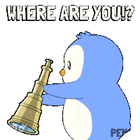 Confused Where Are You Sticker by Pudgy Penguins