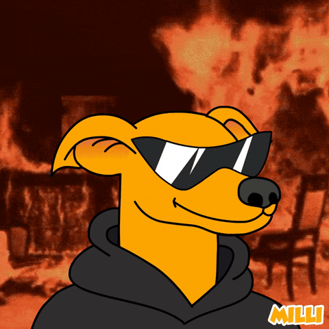 This Is Fine On Fire GIF by MILLI
