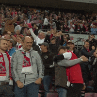 1 Fc Cologne Football GIF by 1. FC Köln