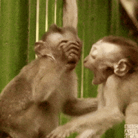 Fight Love GIF by BBC America