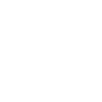 Squirrel Didi Sticker by Focus Features