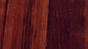 cup glass GIF by Tori Kelly