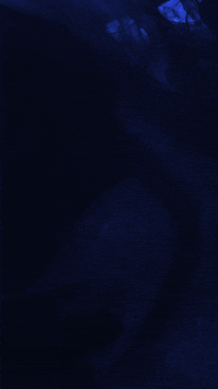 GIF by Flashbang