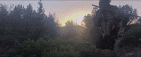 The Sedona Collective GIF by Tiffany