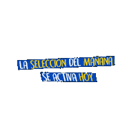 Copa Nestle Sticker by Televisora Nacional S.A.