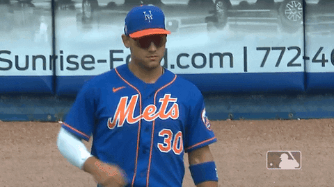 Represent Ny Mets GIF by New York Mets