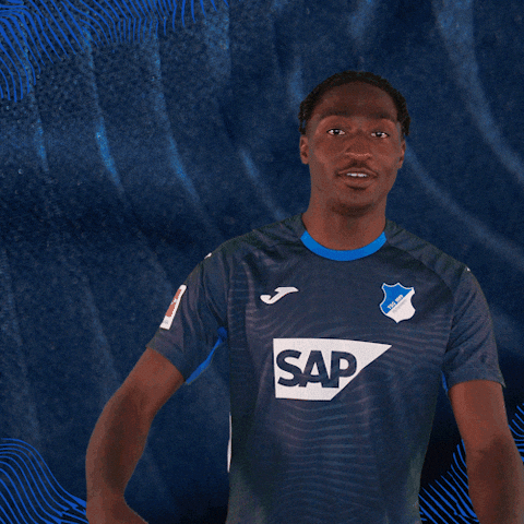 Sport Bundesliga GIF by TSG Hoffenheim