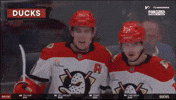 Anaheim Ducks Leo GIF