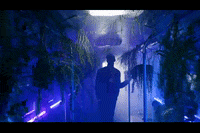 london nigeria GIF by Universal Music Africa