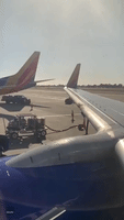 Swarm of Bees on a Wing Delays Flight at California's John Wayne Airport