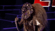 fox tv GIF by The Masked Singer