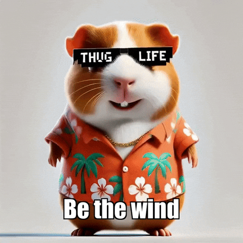 Wisdom Adaptability GIF by Guinea Gambino