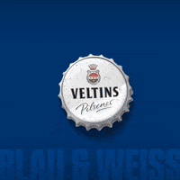 Football Soccer GIF by FC Schalke 04