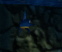 Donkey Kong Swordfish GIF