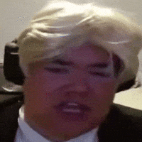Trump Memes GIF
