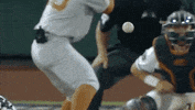 Baseball College GIF by NCAA Championships