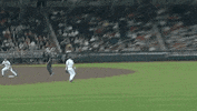 Baseball College GIF by NCAA Championships