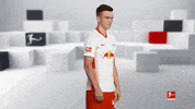 Posing Line Up GIF by Bundesliga