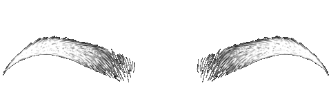 eyebrowsbysarah giphyupload eyebrows xoxo brows Sticker