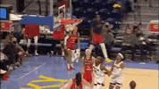 Womens Basketball Wnba GIF by Basketfem