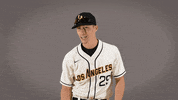 Cal State La Baseball GIF by Cal State LA Golden Eagles