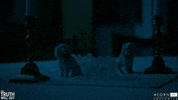 acorn-tv scary creepy spooky swedish GIF