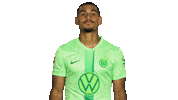 Happy France Sticker by VfL Wolfsburg