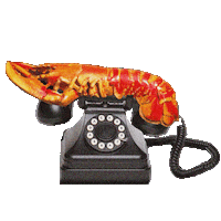 abracadabratv magic lobster abracadabra lobsterphone Sticker
