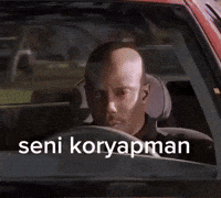 Seni GIF