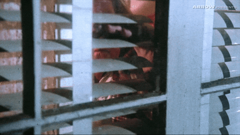 Kristy Swanson Horror GIF by Arrow Video