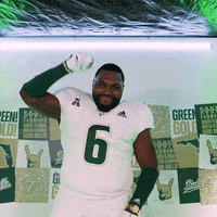 Ncaa Football GIF by USF Athletics