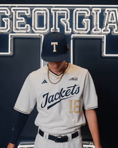 Georgia Tech Baseball GIF by Georgia Tech Yellow Jackets